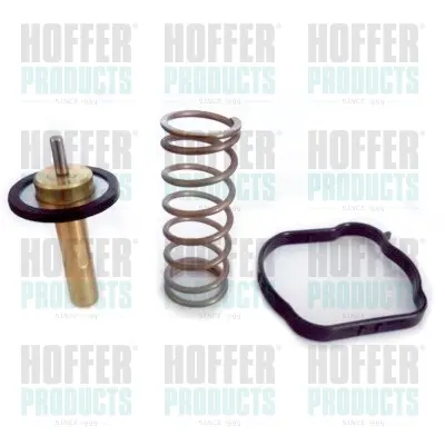 термостат, охладителна течност HOFFER              