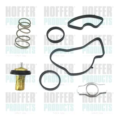 термостат, охладителна течност HOFFER              