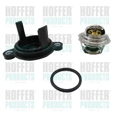 термостат, охладителна течност HOFFER              