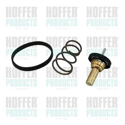 термостат, охладителна течност HOFFER              