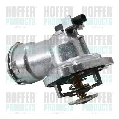 термостат, охладителна течност HOFFER              