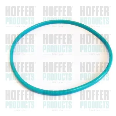 уплътнение, горивна сонда (датчик за показване нивото на гор HOFFER              