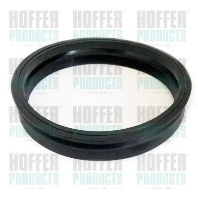 уплътнение, горивна сонда (датчик за показване нивото на гор HOFFER              