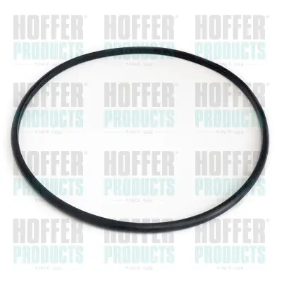 уплътнение, горивна сонда (датчик за показване нивото на гор HOFFER              