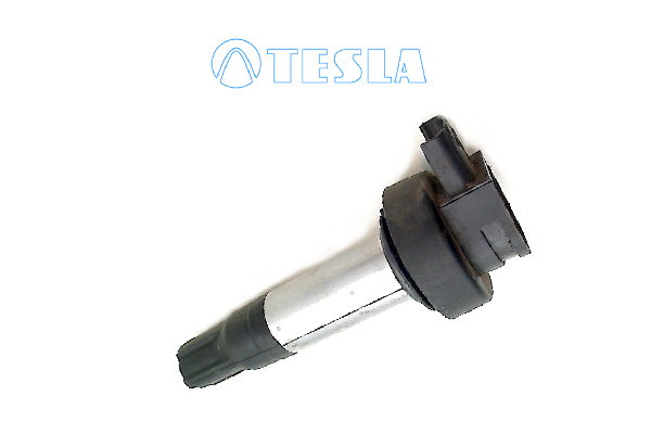 запалителна бобина TESLA               