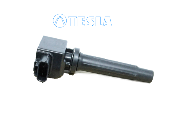 запалителна бобина TESLA               