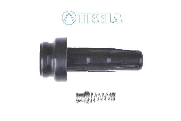 щекер, запалителна свещ TESLA               