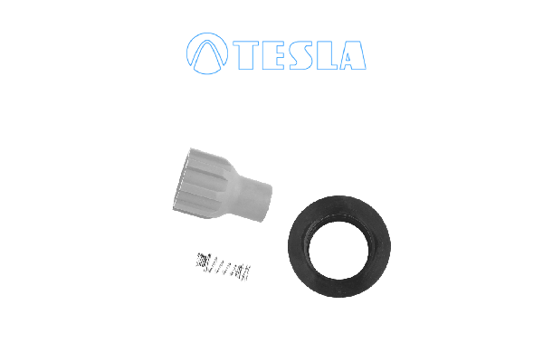 щекер, запалителна свещ TESLA               