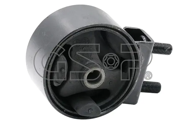 окачване, двигател GSP                 