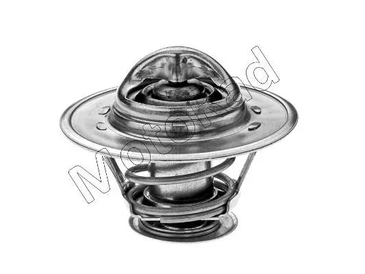 термостат, охладителна течност MOTORAD             
