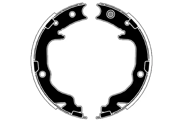 комплект спирачна челюст, ръчна спирачка RAICAM              