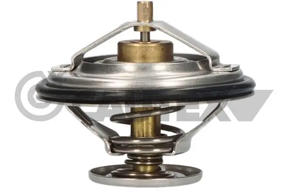 термостат, охладителна течност CAUTEX              