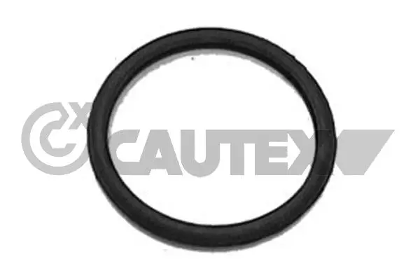 семеринг, маслена помпа CAUTEX              