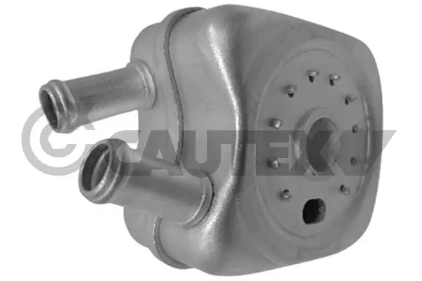 маслен радиатор, двигателно масло CAUTEX              