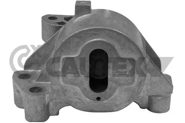 окачване, двигател CAUTEX              