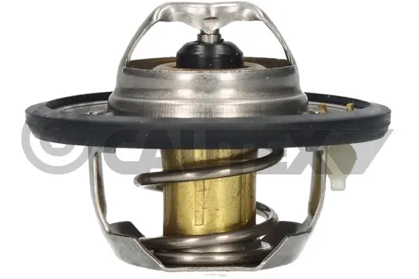 термостат, охладителна течност CAUTEX              