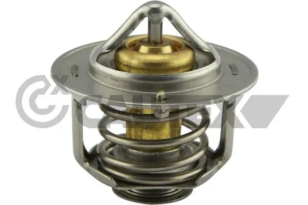 термостат, охладителна течност CAUTEX              