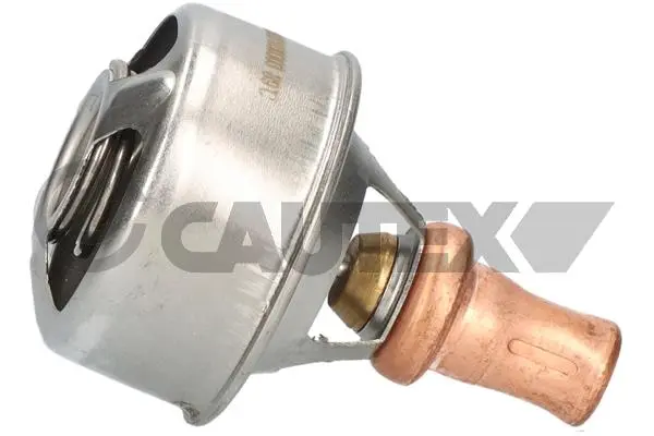 термостат, охладителна течност CAUTEX              