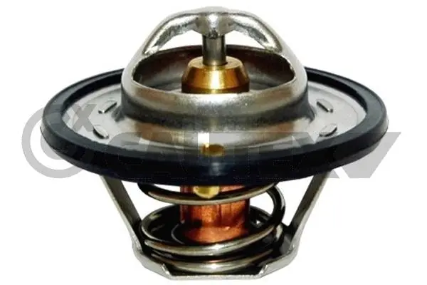 термостат, охладителна течност CAUTEX              