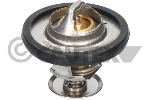 термостат, охладителна течност CAUTEX              