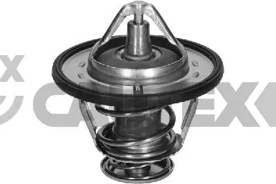 термостат, охладителна течност CAUTEX              