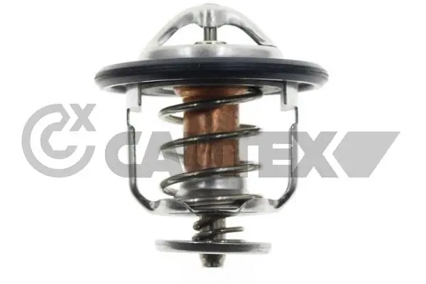 термостат, охладителна течност CAUTEX              