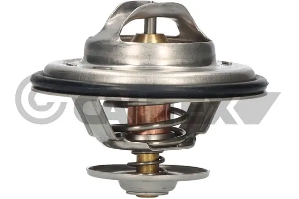 термостат, охладителна течност CAUTEX              