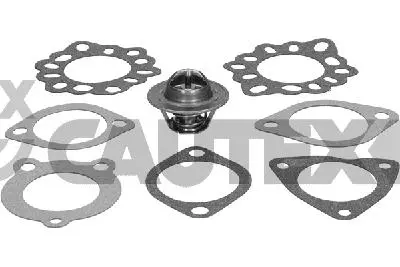 термостат, охладителна течност CAUTEX              