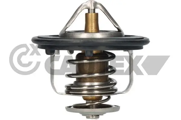 термостат, охладителна течност CAUTEX              