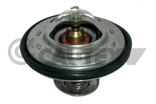 термостат, охладителна течност CAUTEX              