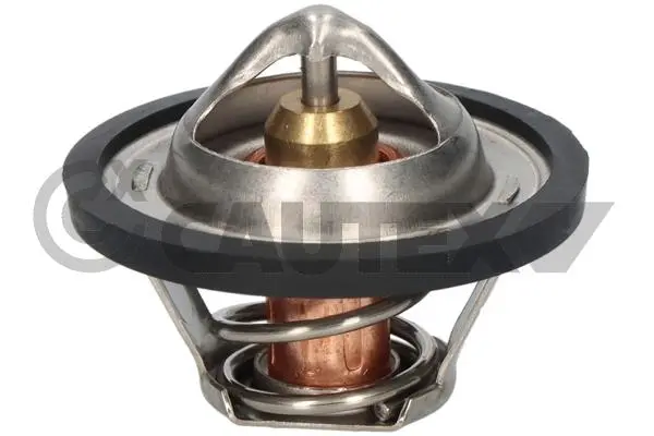 термостат, охладителна течност CAUTEX              