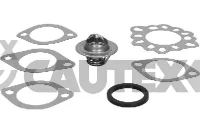 термостат, охладителна течност CAUTEX              