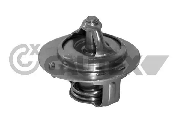 термостат, охладителна течност CAUTEX              