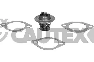 термостат, охладителна течност CAUTEX              