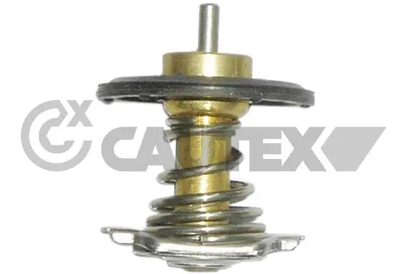 термостат, охладителна течност CAUTEX              