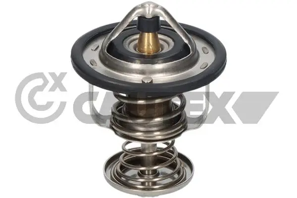 термостат, охладителна течност CAUTEX              