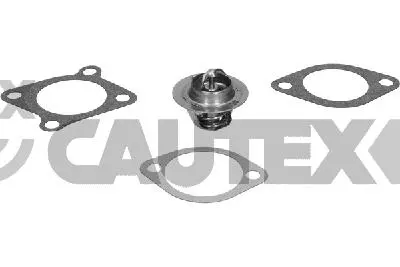 термостат, охладителна течност CAUTEX              