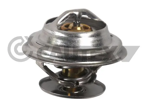 термостат, охладителна течност CAUTEX              