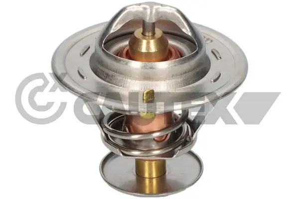 термостат, охладителна течност CAUTEX              