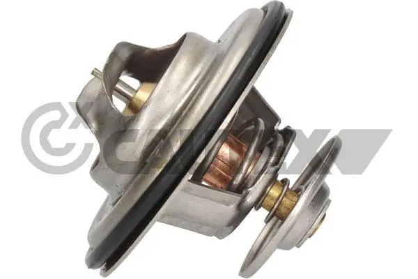 термостат, охладителна течност CAUTEX              