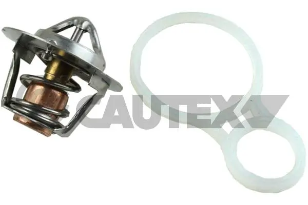 термостат, охладителна течност CAUTEX              