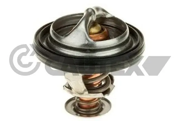 термостат, охладителна течност CAUTEX              