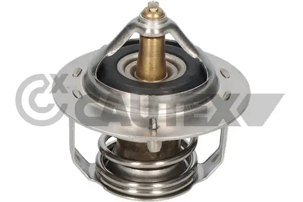 термостат, охладителна течност CAUTEX              