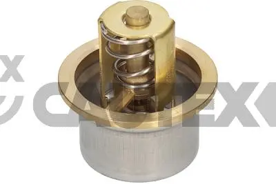 термостат, охладителна течност CAUTEX              