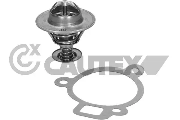 термостат, охладителна течност CAUTEX              