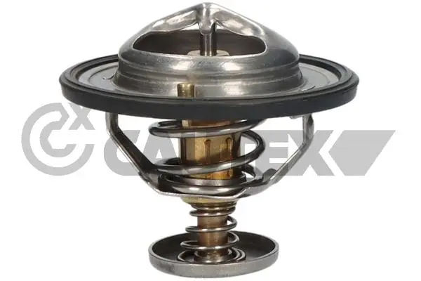 термостат, охладителна течност CAUTEX              