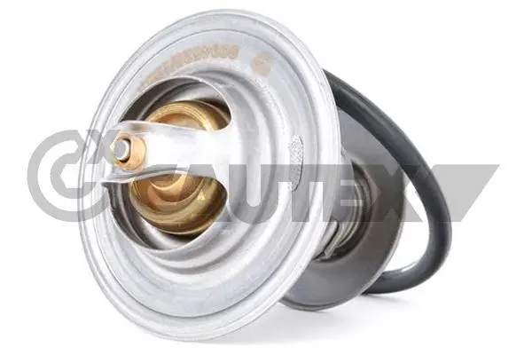 термостат, охладителна течност CAUTEX              