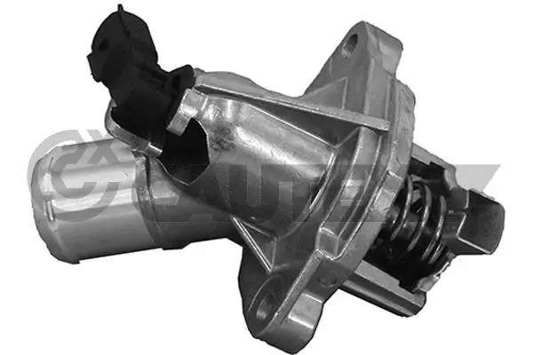 термостат, охладителна течност CAUTEX              