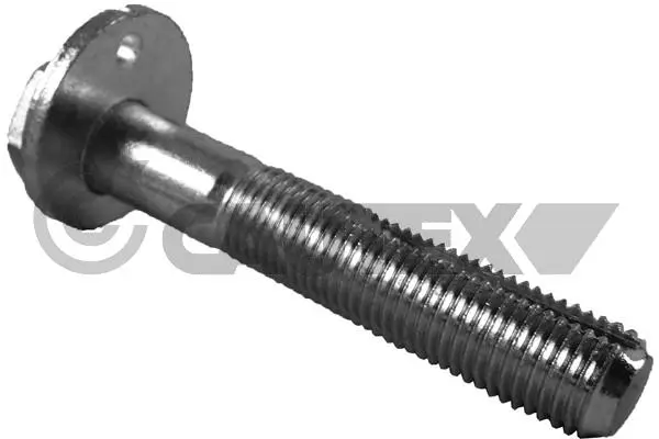 носач, окачване на колелата CAUTEX              