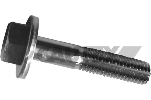 носач, окачване на колелата CAUTEX              